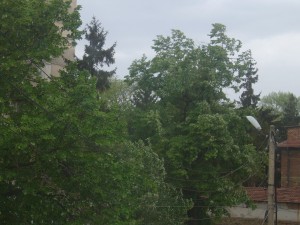 P1250039 Силна буря започва в Ловеч!