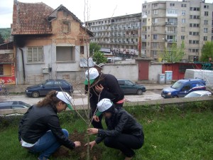 lukovit2004121 Младежи засадиха дръвчета в Луковит по повод Деня на земята
