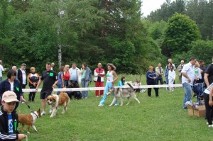 kinoljka1305121 За четвърта поредна година Регионална киноложка изложба на Стратеш