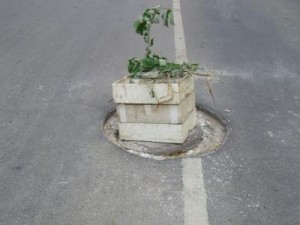 dupka1306121 Дни на безхаберие! Хората питат: Колко време трябва да чакат, за да си свърши работата градската администрация?