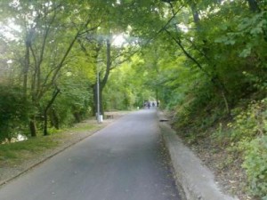 bbunar2007121 Наредба за изграждане, поддържане и опазване на зелената система на територията на община Ловеч гласуват съветниците