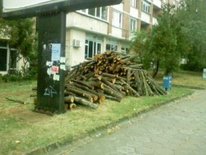 darva1609121 Стотици кубици дърва са стоварени върху зелените площи в целият град