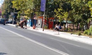 karuca309121 karuca309121 Пак каруци в центъра на Ловеч