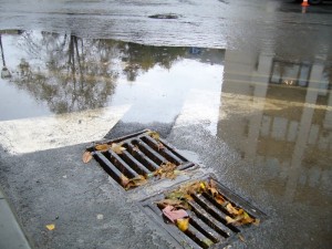 bulbg2910126 Пак за водичката, която не влиза в шахтичките по евробулеварда, при малко дъждец