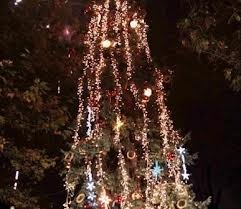 elha412121 На 6 декември в 18 ч. кметът пали светлинките на Коледната елха на Ловеч