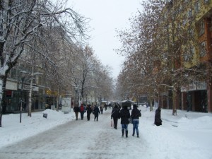 snqg1912124