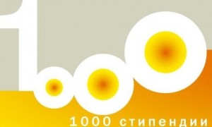 stip502131