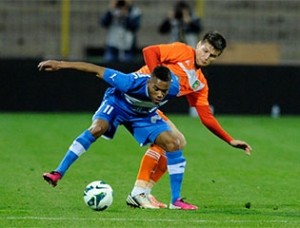litex1303131