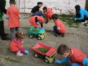 joglav2304131