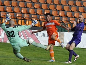 litex1004131
