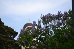 lovlilac2504131