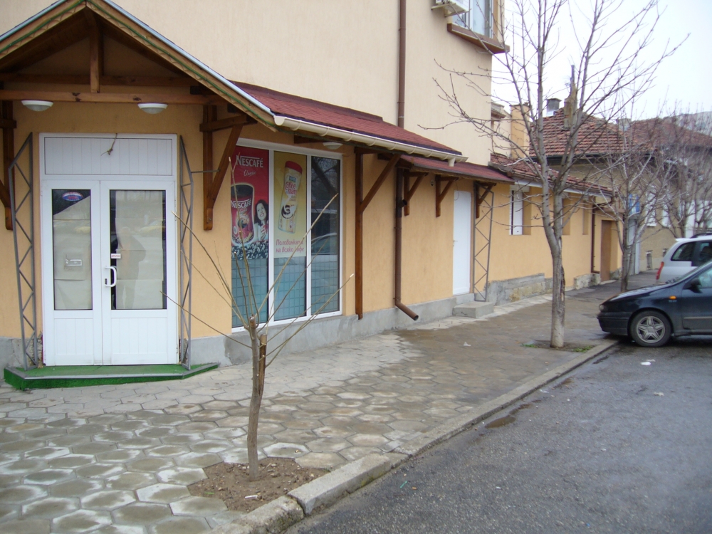 plavogara504131