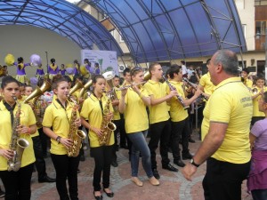 koncertplod1705131