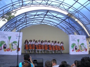 koncertplod1705133