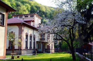 lovechiuzina1105131